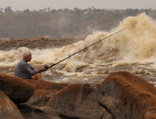 Conserving freshwater fish: an interview with Jeremy Wade