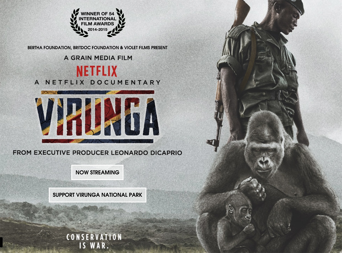 Virunga Screening