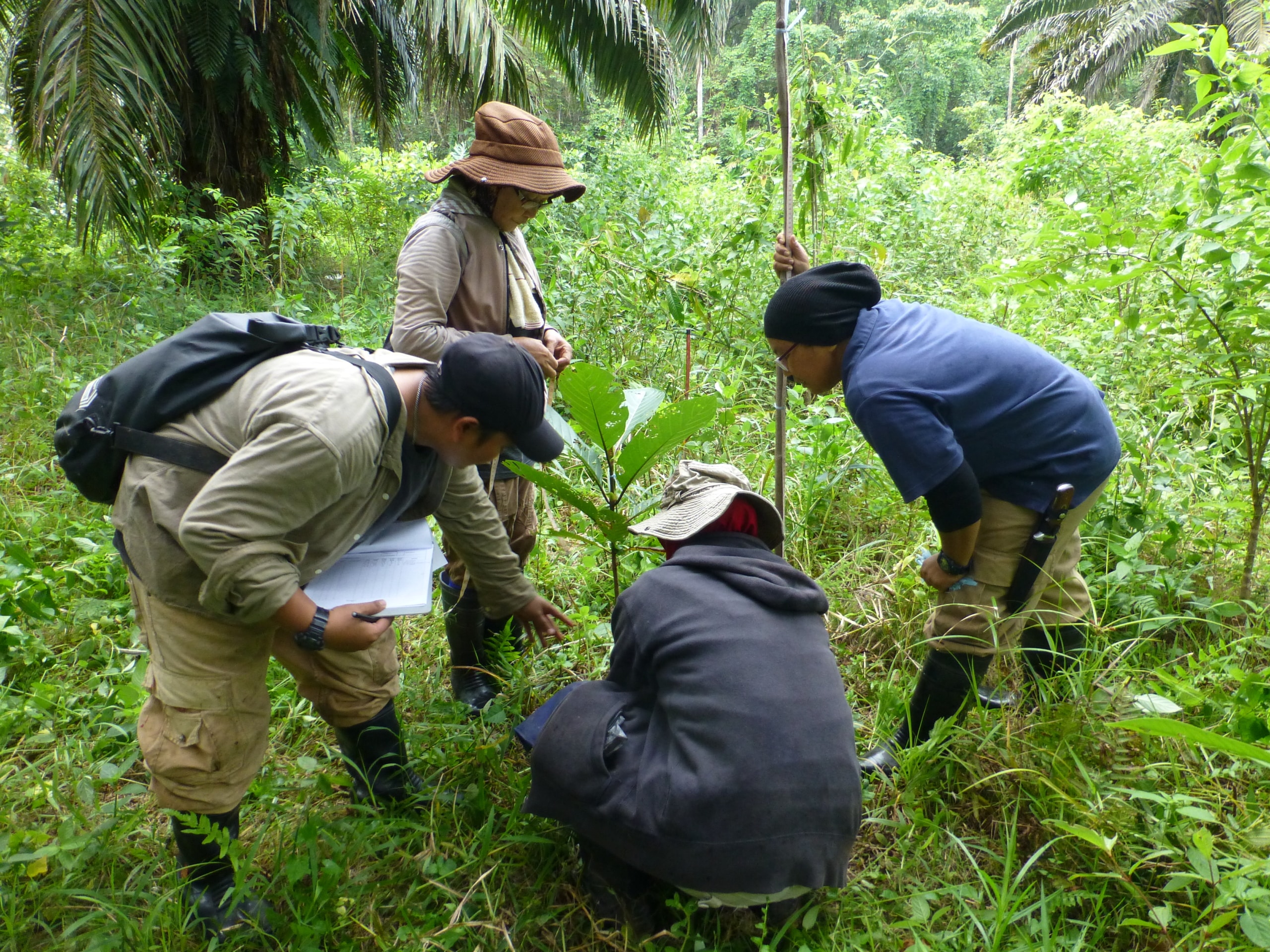 What is Regeneration and how does it build biodiversity and support communities?