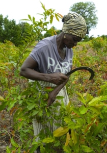 Image: Agroecology Fund