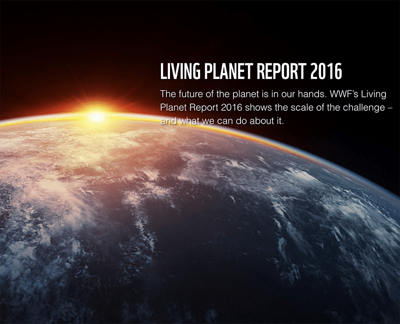 Are we caring for our natural world?