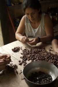 Image: Cambugán Foundation