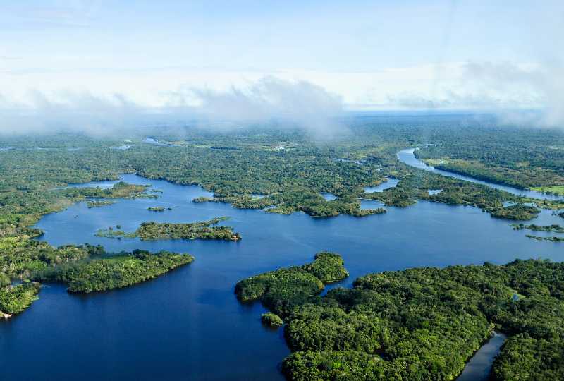 Aerial view of the Amazon Rainforest near Manaus
