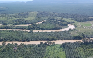 Aerial view of a river flowing through a forest.