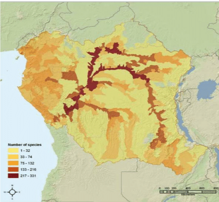 Congo River In Map The Congo River - Synchronicity Earth
