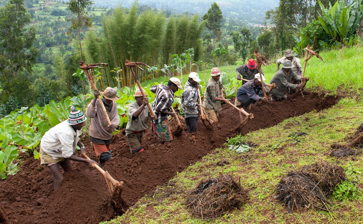 a group of people farming land