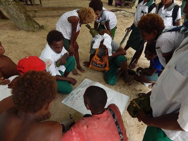 Bismarck Ramu Group, PNG