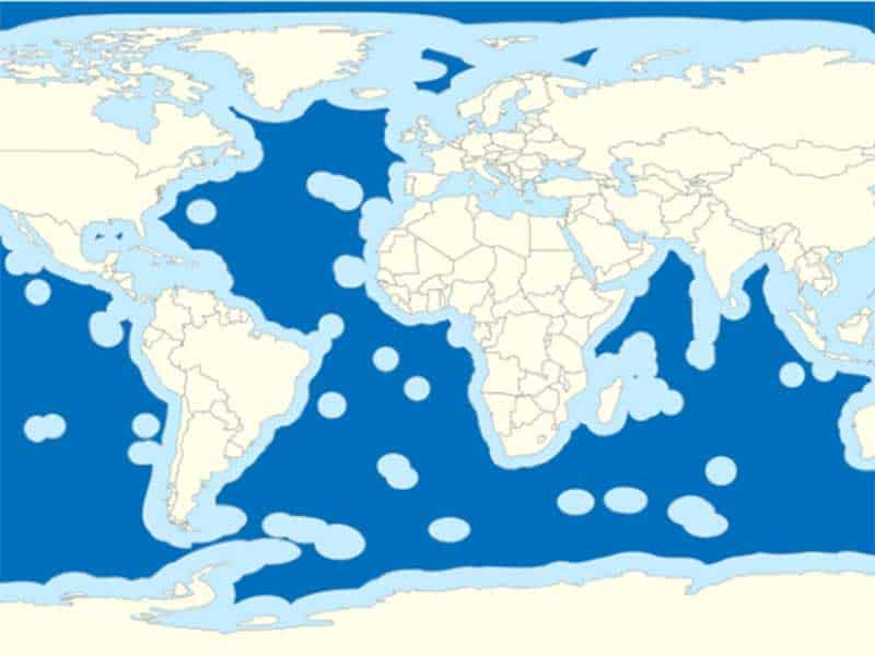 The High Seas