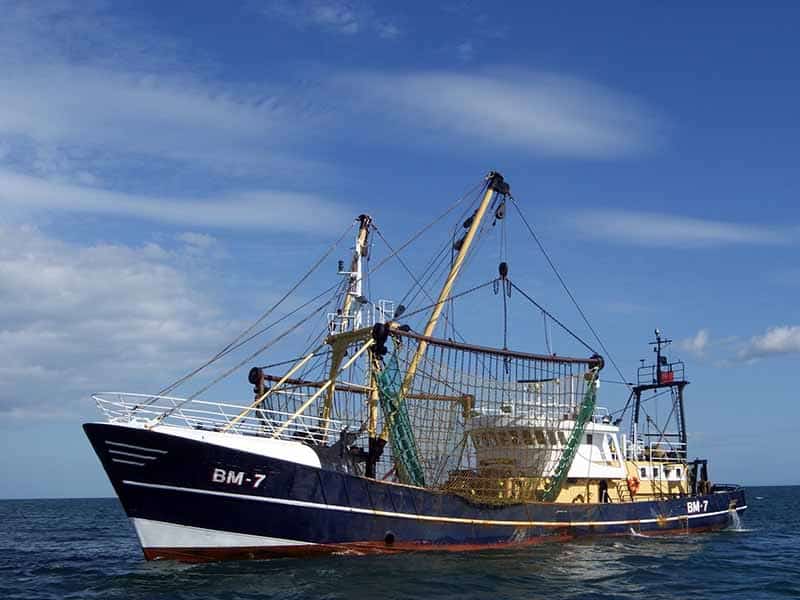 Fishing trawler: Pixabay