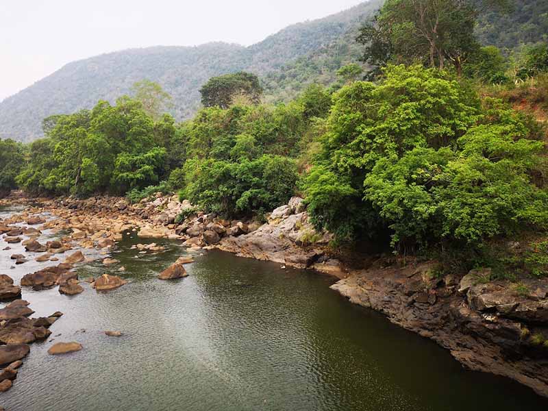 A river with trees along its banks.