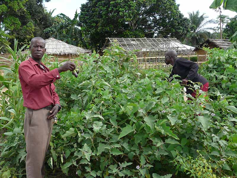 A person shows what they have grown in the family gardens