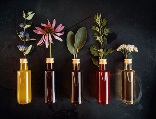 Health and biodiversity Part II: Wild medicine