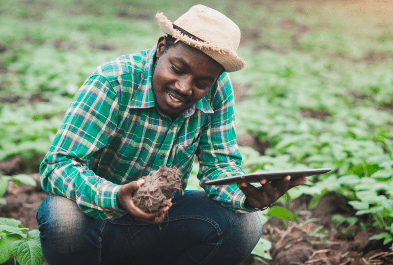 African farmer using tablet for research soil in organic farm.
