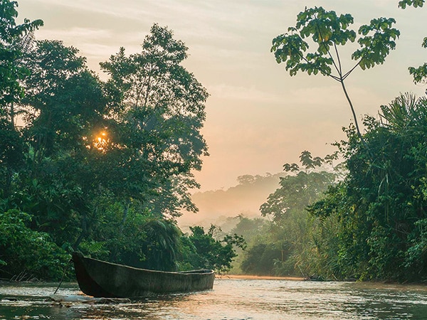 canoe on a river in a foggy rainforest at sundown