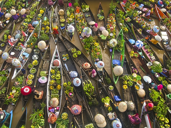 lbirdseye view of a large group of wooden canoes on water containing a variety of vegetation