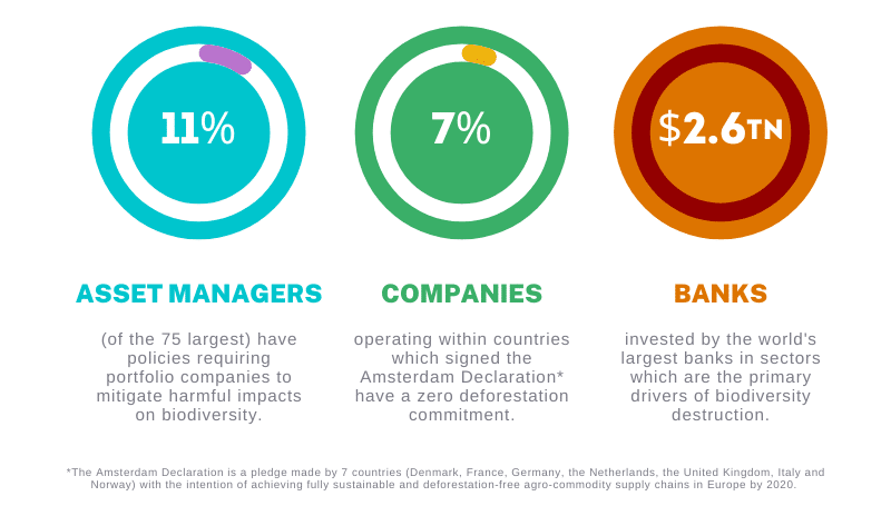 Infographic with three circles highlighting the numbers of these three figures: 11% of asset managers (of the 75 largest) have policies requiring portfolio companies to mitigate harmful impacts on biodiversity. 7% of companies operating within countries which signed the Amsterdam Declaration* have a zero deforestation commitment. $2.6trillion invested by the world's largest banks in sectors which are the primary drivers of biodiversity destruction. In small text across the bottom: *The Amsterdam Declaration is a pledge made by 7 countries (Denmark, France, Germany, the Netherlands, the United Kingdom, Italy and Norway) with the intention of achieving fully sustainable and deforestation-free agro-commodity supply chains in Europe by 2020.