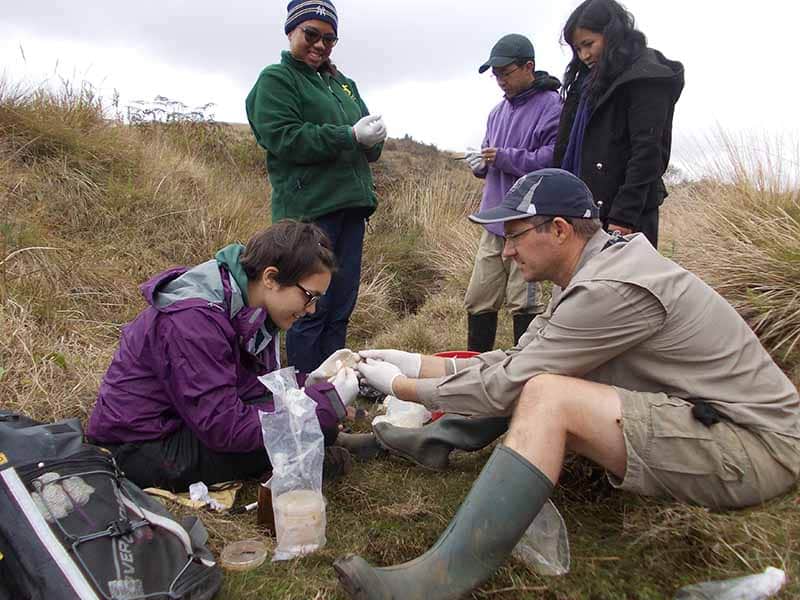 Image of Pria doing research in Madagascar