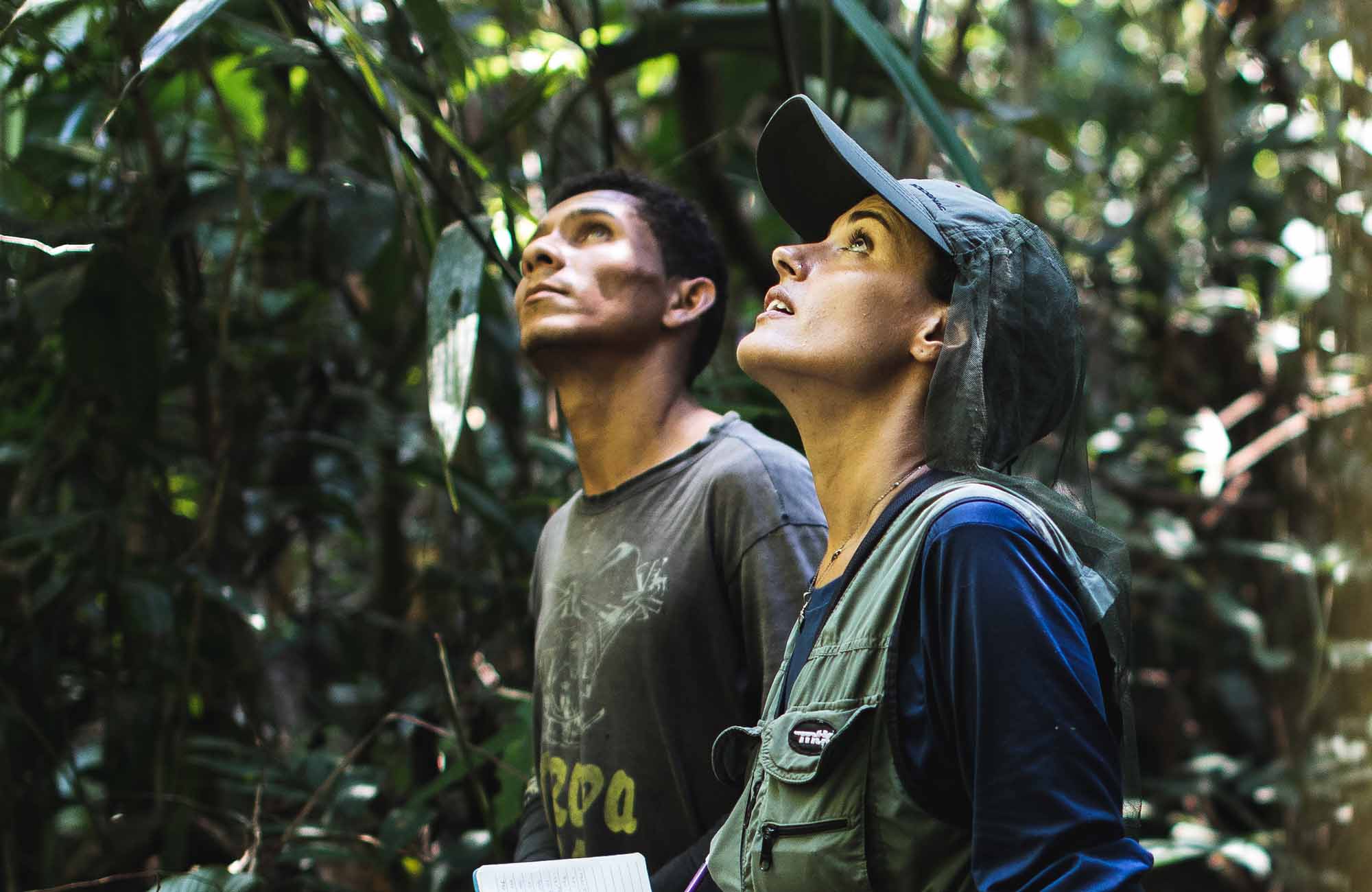 People looking up in forest