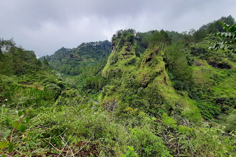 A green landscape of steep hills covered in shrubbery.