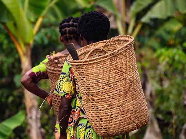 two people walking with baskets on their backs