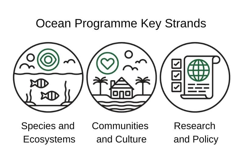 Ocean Programme Key Strands with three icons 1. Fish underwater, caption: Species and Ecosystems 2. S house with palm trees, caption: Communities and Culture. 3) a piece of paper with three ticks, caption: Research and Policy