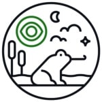 Icon with frog