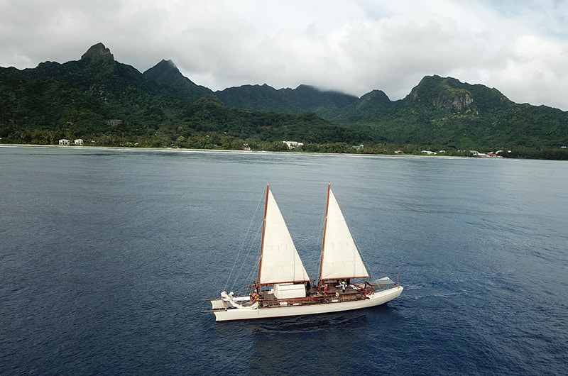 A white sailing boat with large white sails on the sea with a forested mountain coast behind.