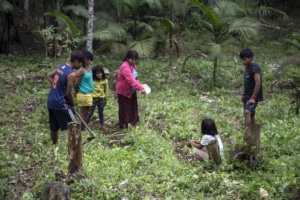 Image Guarani family engaged in agroforestry