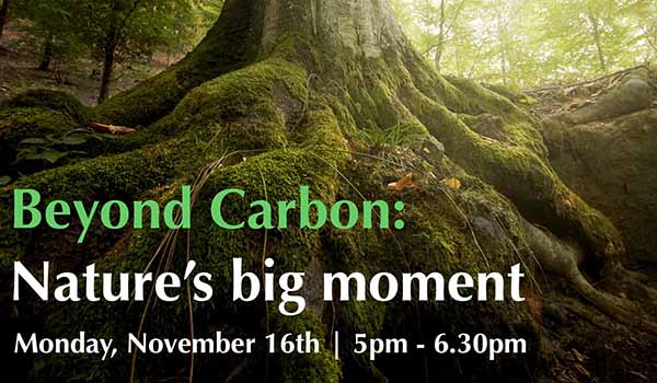 Beyond Carbon: Nature's big moment poster