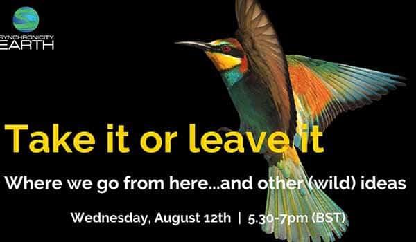 poster with a hummingbird reading 'take it or leave it' in yellow writing