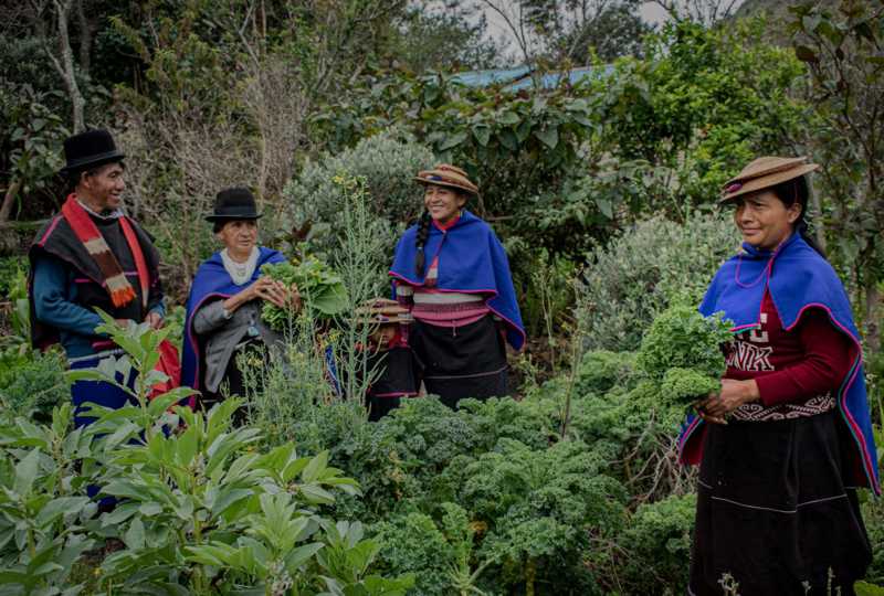 four people standing holding harvest.