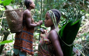 Two Indigenous women collecting non-timber forest products