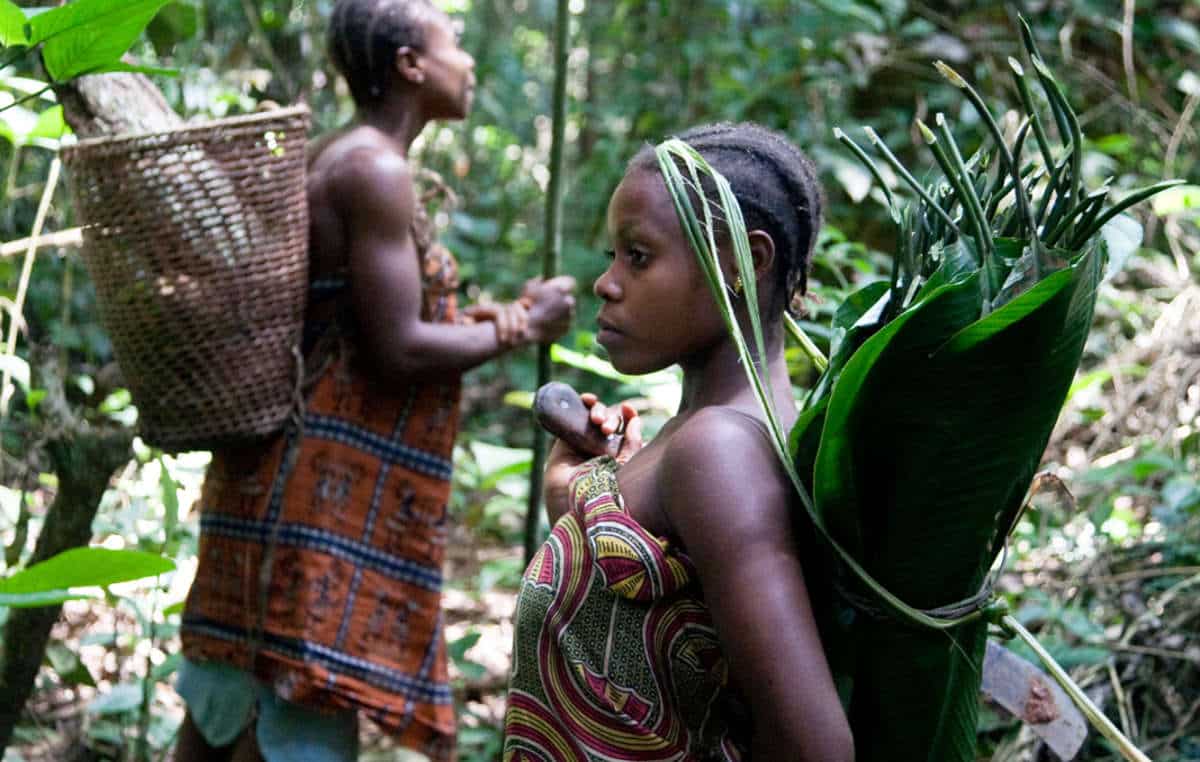 Two Indigenous women collecting non-timber forest products