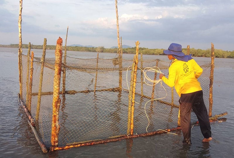 a person adding rope to a wooden cage