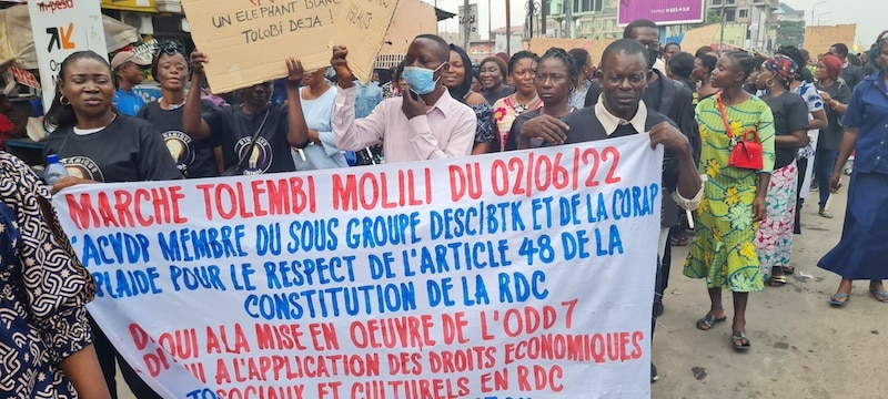 A crowd of people carrying a banner which is titled: Marche Tolembi Molili du 02/06/22