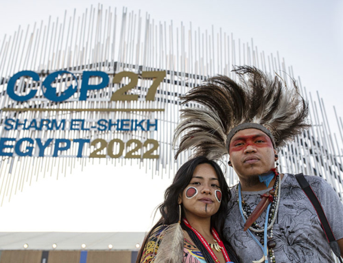 Indigenous youth at COP27: From the village to the world