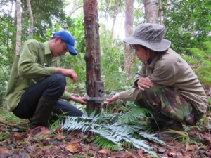 Staff setting up a camera trap