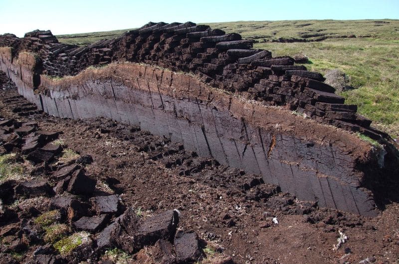 Image of peat mining process. Large blocks of dark brown peat are chopped into bricks and stacked.