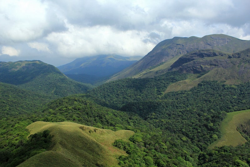 Rolling, green mountain peaks covered partially in forest and partially in grassland. The sky is full of low clouds. 