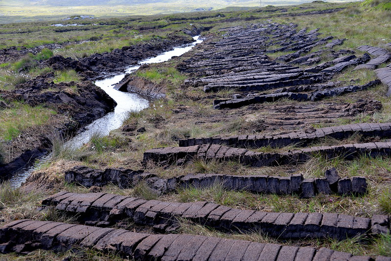 Recently cut peat blocks, first drying