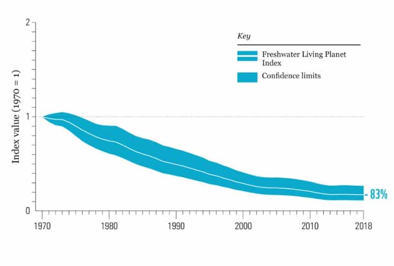 Graph from 1970 to 2018 showing the average abundance of 6,617 freshwater populations across the globe, representing 1,398 species, declined by 83%.