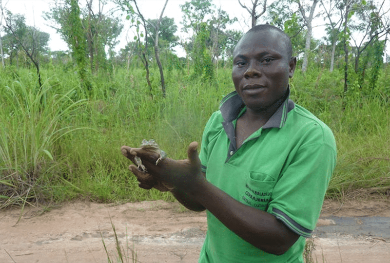 Gilbert Adum holding a frog