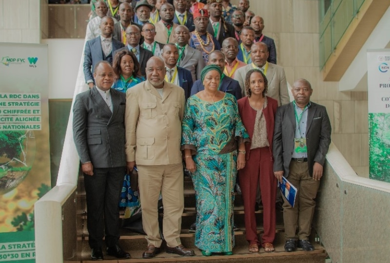 Group photo of delegates and officials standing on stairs during a conservation and strategy event in the Democratic Republic of Congo.
