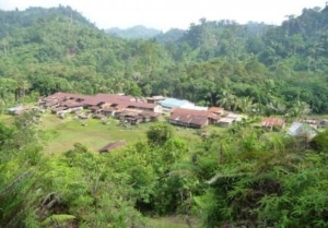 A village surrounded by forest.
