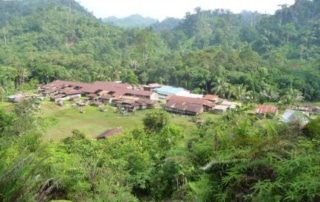 A village surrounded by forest.
