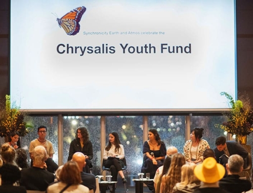 Recognising the power of the youth movement: the Chrysalis Youth Fund