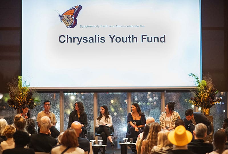Recognising the power of the youth movement: the Chrysalis Youth Fund