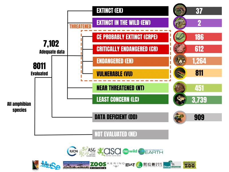 An infographic breaking down the numbers for the GAA2 assessment, showing how many species are in each category