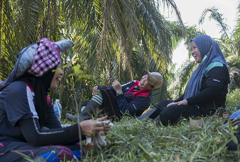 Three women sitting on the floor of a reforestation area laughing