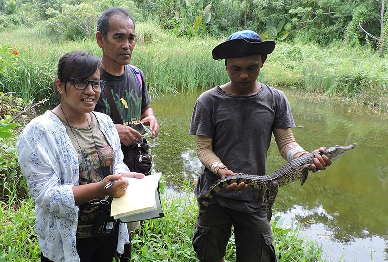 Three Mabuwaya team members in a crocodile sanctuary, one of them holding a small crocodile ready for release